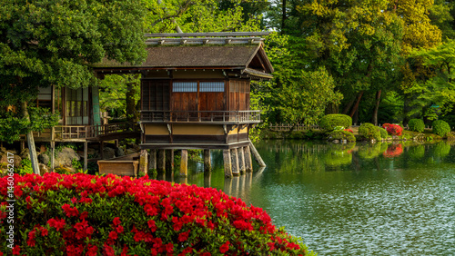新緑の兼六園　ツツジと霞ヶ池　春の金沢　観光