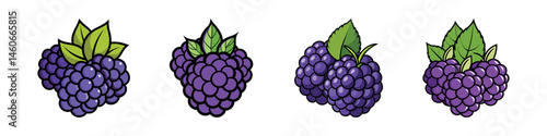 Hand-drawn blackberry fruit illustration set, organic purple berries with green leaves, 4 vector blackberry icons for food packaging