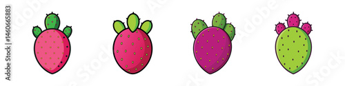 Prickly pear cactus icons set, colorful desert succulent plant illustrations, 4 flat vector cactus elements for summer design
