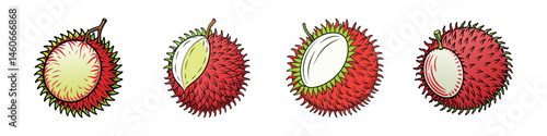Four cartoon style rambutan fruits, peeled and unpeeled, on white background
