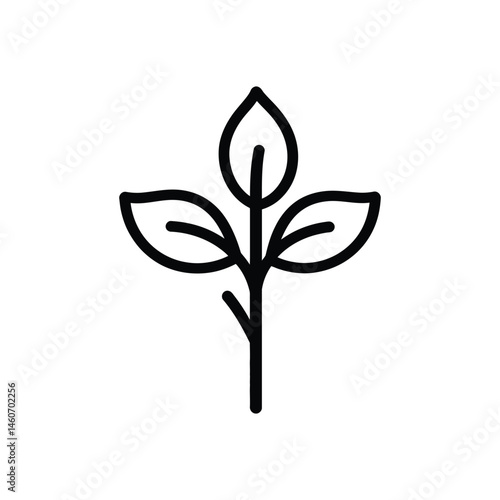 Minimalist Line Art Plant with Leaves on Transparent Background Icon