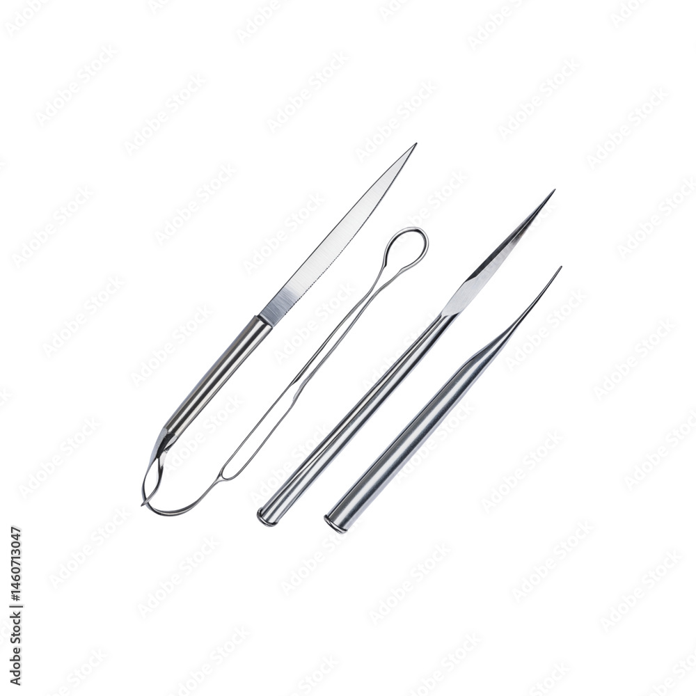 Set of Professional Stainless Steel Tools for Precision Work Set of Professional Stainless Steel Tools for Precision Work