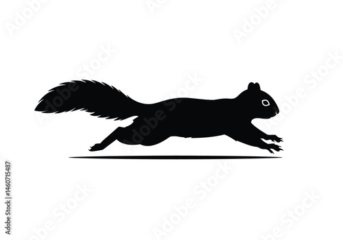 Running squirrel silhouette. This image shows a black silhouette of a squirrel running with its legs extended and tail flowing behind. Vector clipart illustration design.