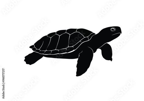 Turtle silhouette. This image features a dark outline of a turtle, emphasizing its rounded shell, short limbs, and aquatic nature, symbolizing endurance and tranquility.  clipart illustration design.