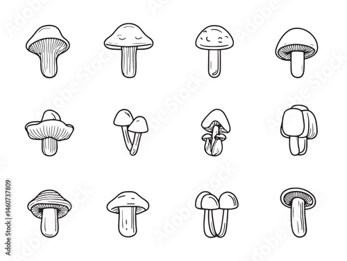 Enoki Mushroom Line Art Fresh Organic Style for Creative Projects
