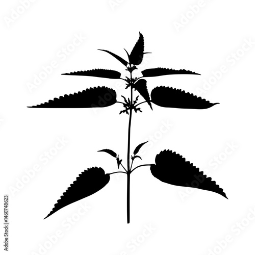 Nettle Silhouette Vector Illustration