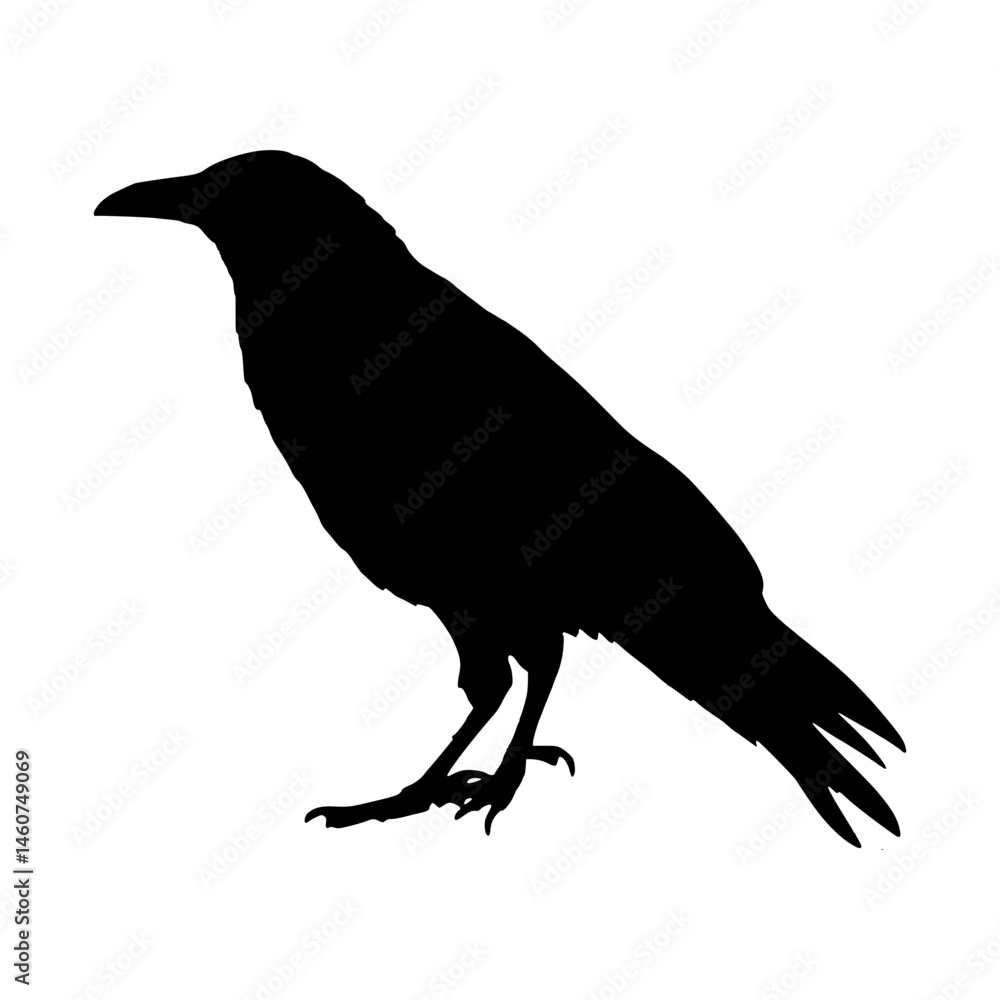Black Crow Silhouette Vector Black Crow Silhouette Vector