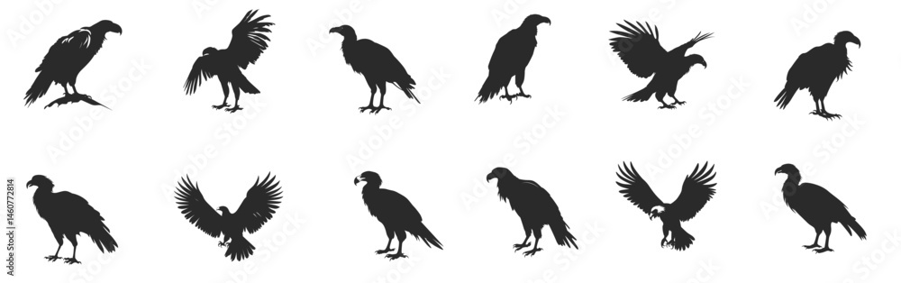 Fototapeta premium Flying Eagle Logo Design On White Background. vector