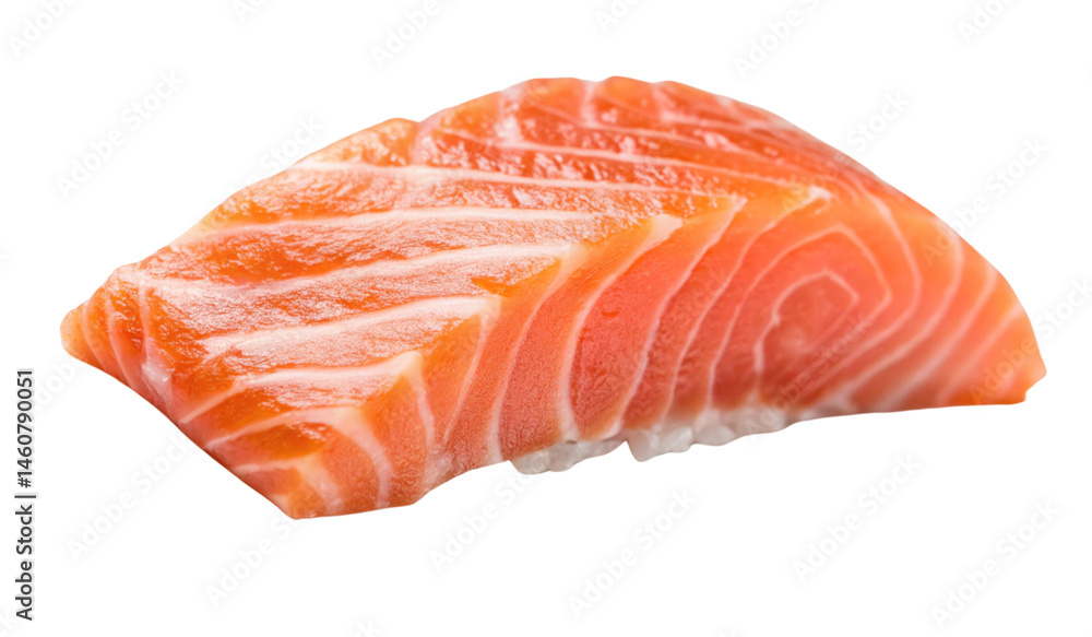Fresh salmon fillet garnished Fresh salmon fillet garnished