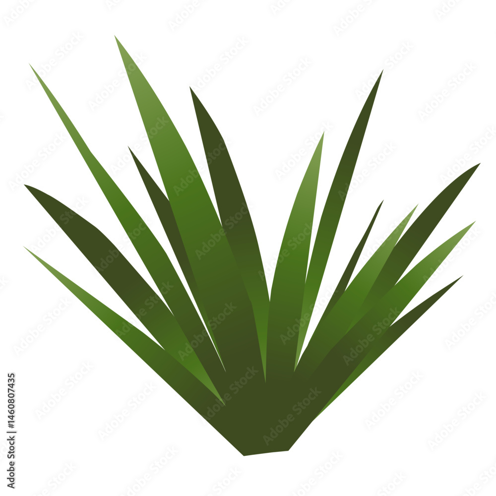 Obraz premium Grass plant vector illustration