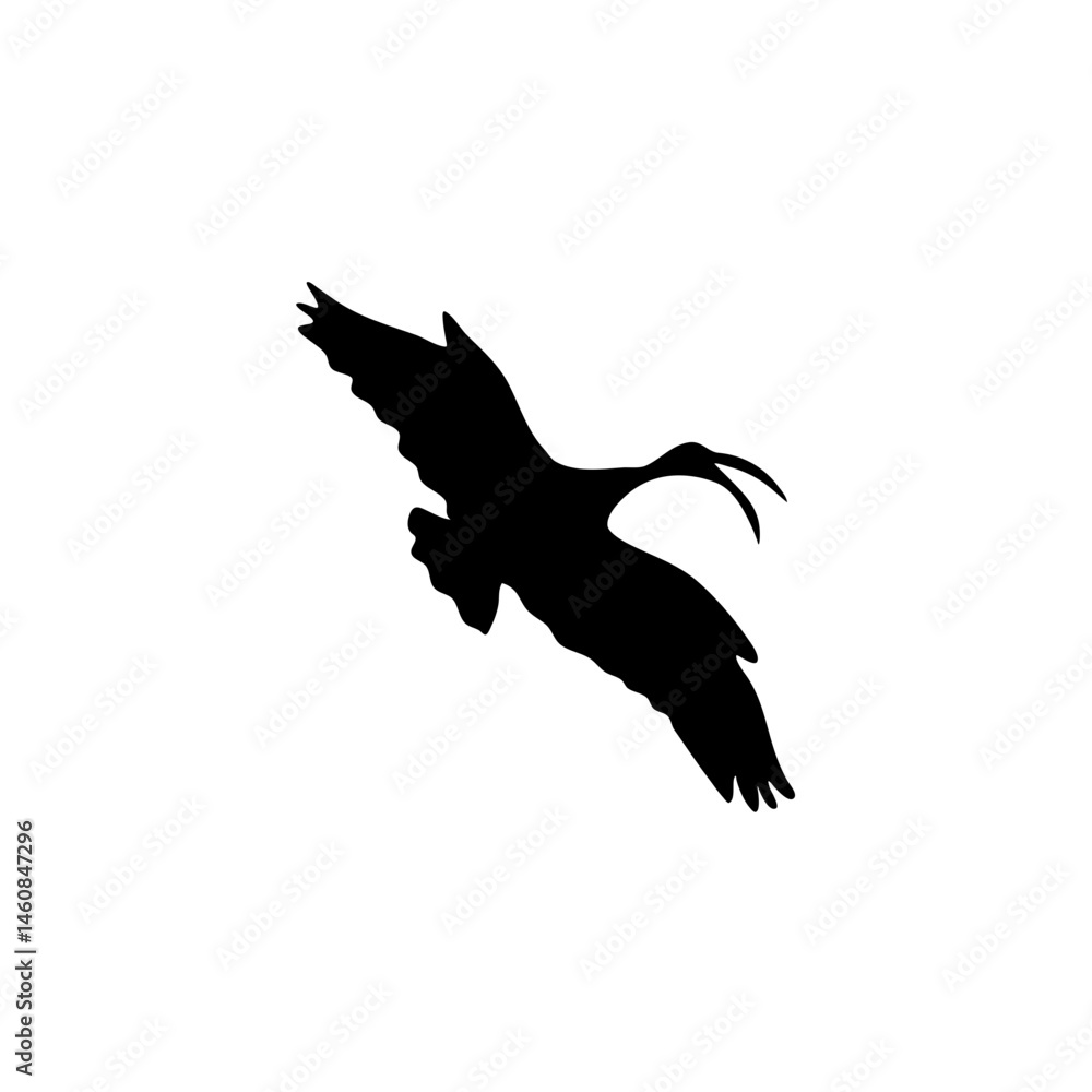 Fototapeta premium Ibis bird silhouette. Vector illustration 