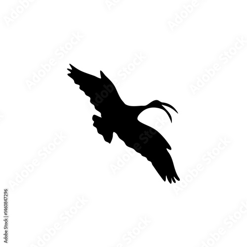 Ibis bird silhouette. Vector illustration 