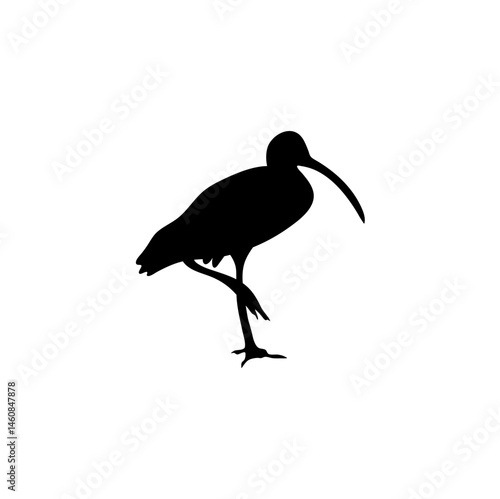 Ibis bird silhouette. Vector illustration 