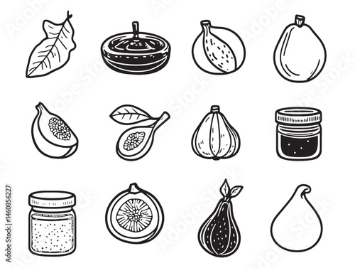 Fig Jam Food Line Art for Creative Projects and Designs