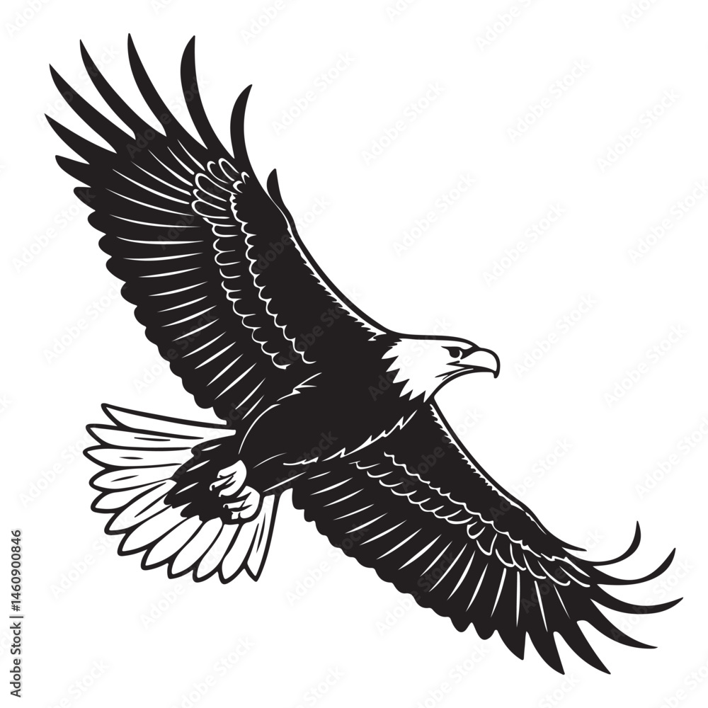 Obraz premium Eagle in Flight Silhouette