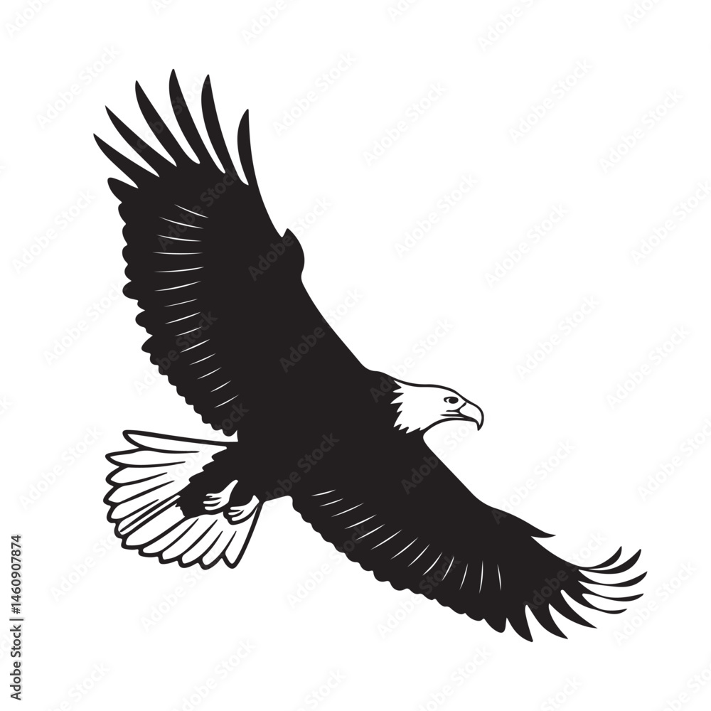 Obraz premium Eagle in Flight Silhouette