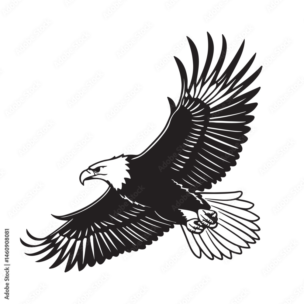 Obraz premium Eagle in Flight Silhouette