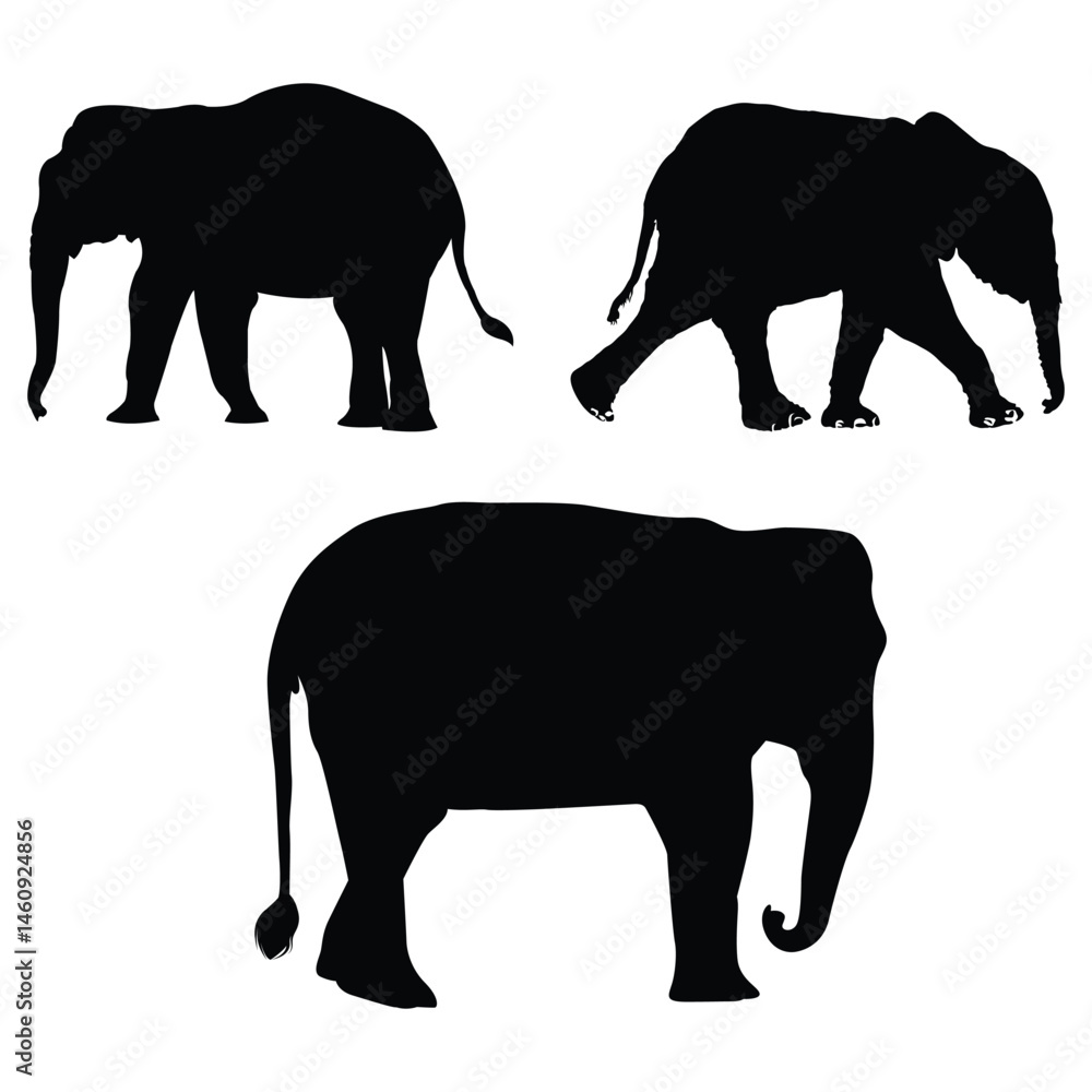 Fototapeta premium Elephant silhouette, Elephant vector, Elephant illustration, silhouette, set icon, silhouette, Elephant