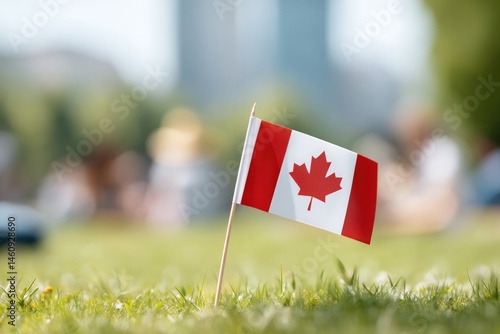 Small Canadian flag proudly displayed on grass during festive ga
