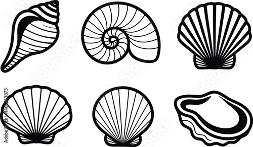 Collection of black and white vector illustrations depicting various seashells and marine life elements