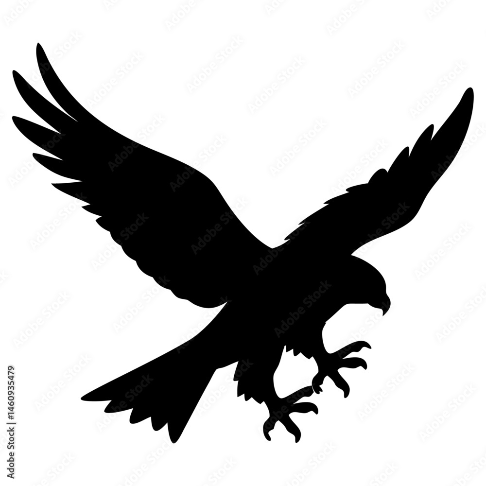 Obraz premium hawk-vector-silhouettes