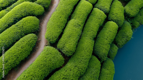 Geometric Green Hedges: An ...