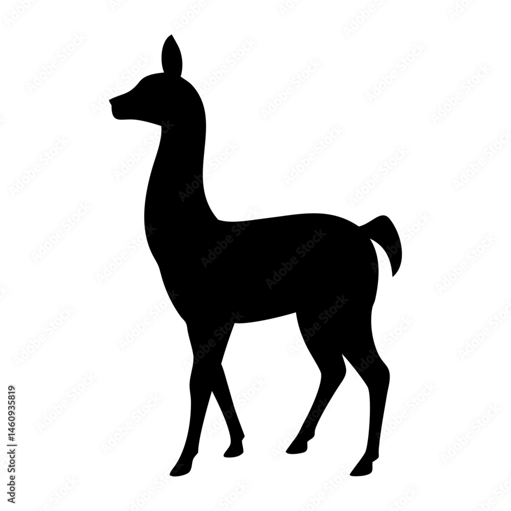 Obraz premium Llama vector silhouette
