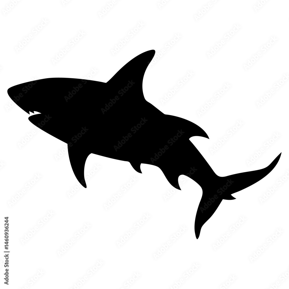 Obraz premium shark vector silhouette