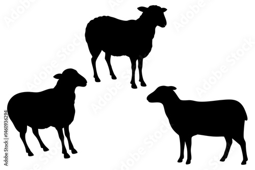 vector silhouettes of sheep
