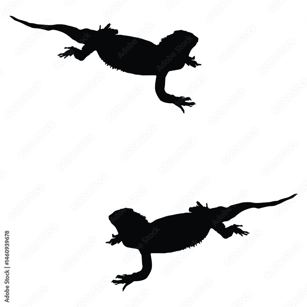 Lizard silhouette, Lizard illustration, silhouette, Lizard vector, set icon, silhouette, Lizard Lizard silhouette, Lizard illustration, silhouette, Lizard vector, set icon, silhouette, Lizard