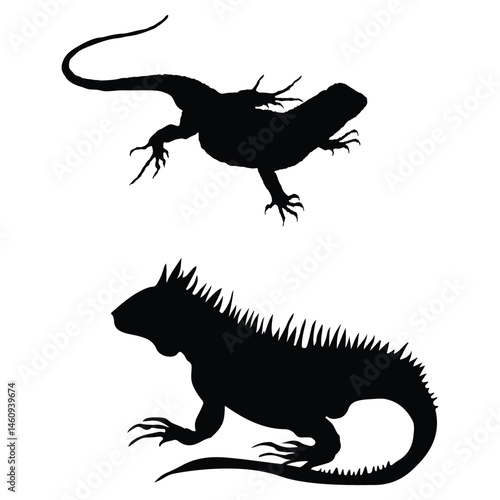 Lizard silhouette, Lizard illustration, silhouette, Lizard vector, set icon, silhouette, Lizard