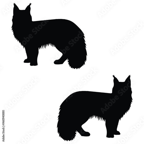 maine coon silhouette, maine coon vector, maine coon illustration, silhouette, set icon, silhouette, maine coon
