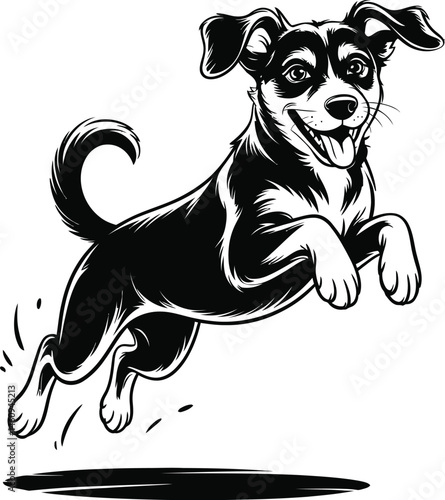 Cheerful black and white dog jumping happily in mid-air isolated on white background