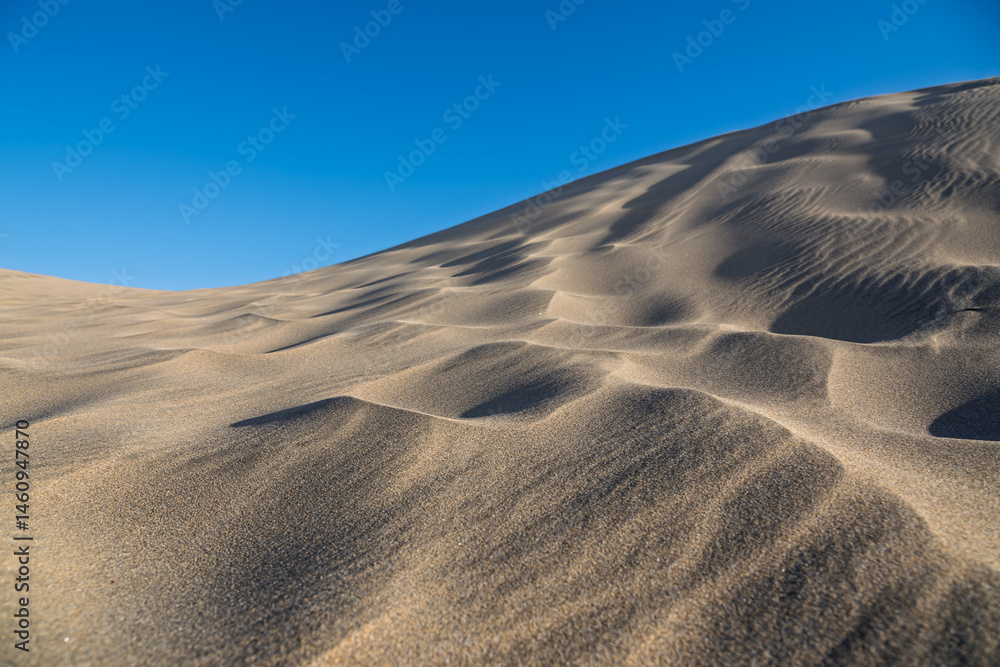 Dunes of Maspalomas, Gran Canaria, Spain.