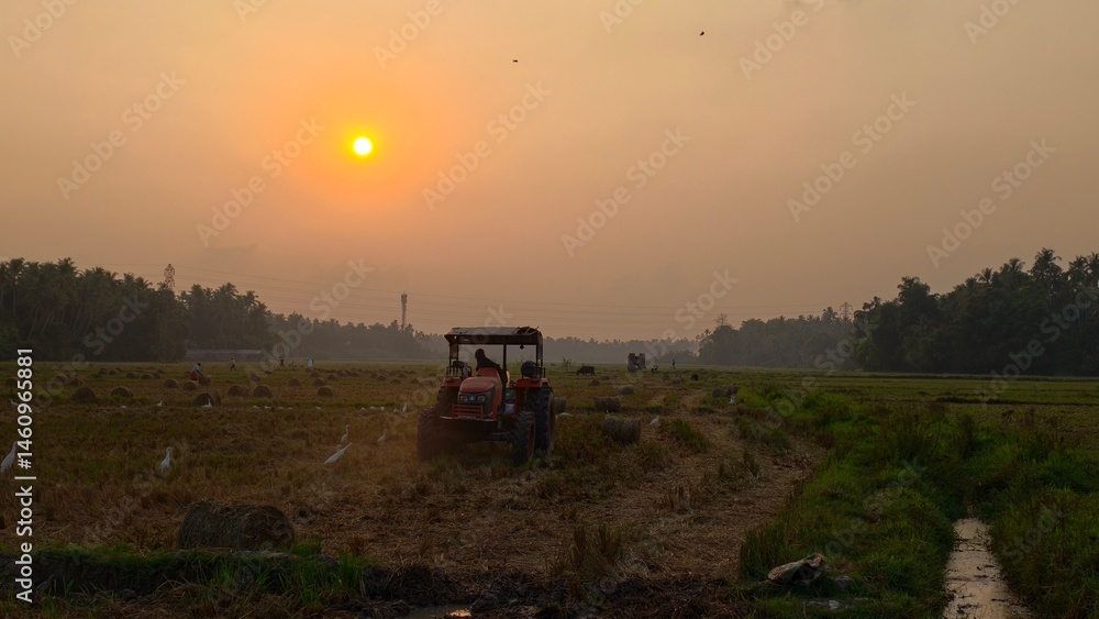 Fototapeta premium sunset in the countryside