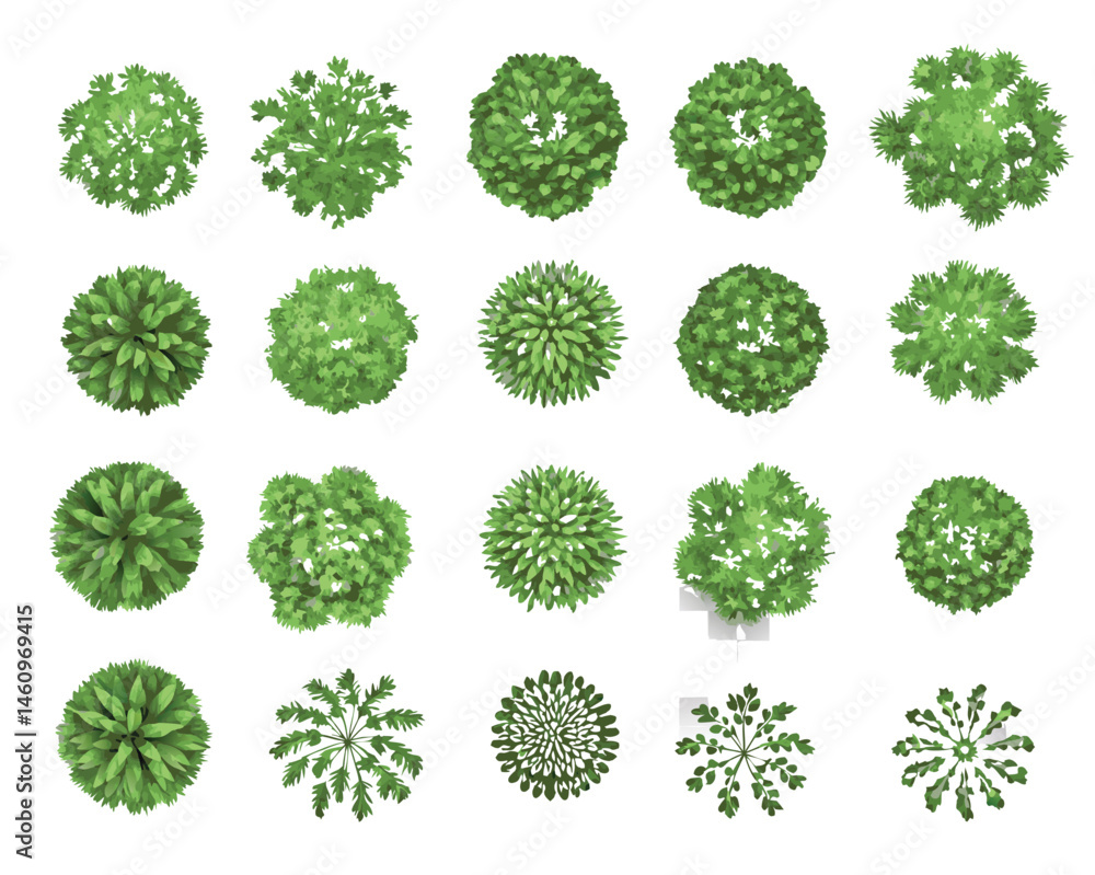 top-down view of landscape plan and architecture layout drawing, a collection of various green shrubs and bushes, mix of rounded, spiky, and irregular forms