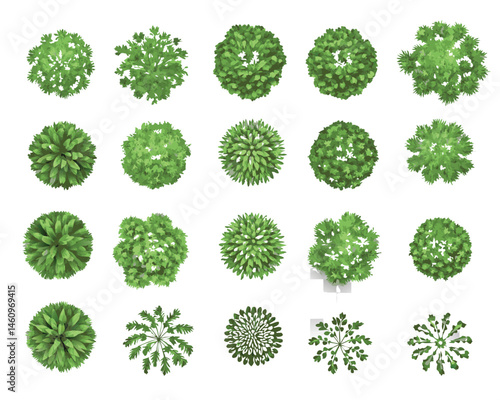 top-down view of  landscape plan and architecture layout drawing, a collection of various green shrubs and bushes,  mix of rounded, spiky, and irregular forms