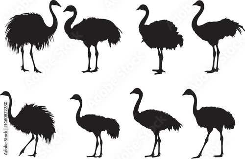 ostrich silhouette vector, bird, flamingo, animal, vector, illustration, nature, silhouette, crane, heron, wildlife, ostrich, cartoon, white, birds, isolated, pink, black, beak, wild, animals, water, 