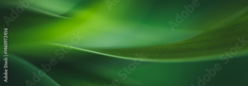 Dark green leaf texture, Natural green leaves using as nature background wallpaper or tropical leaf cover page