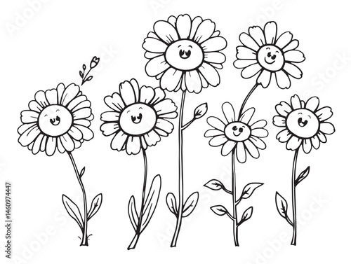 Beautiful Dainty Daisy Sketch Art for Creative Graphic Designs