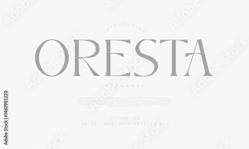 Minimal elegant serif font with modern simplicity, ideal for editorial, branding, wedding and upscale graphic projects