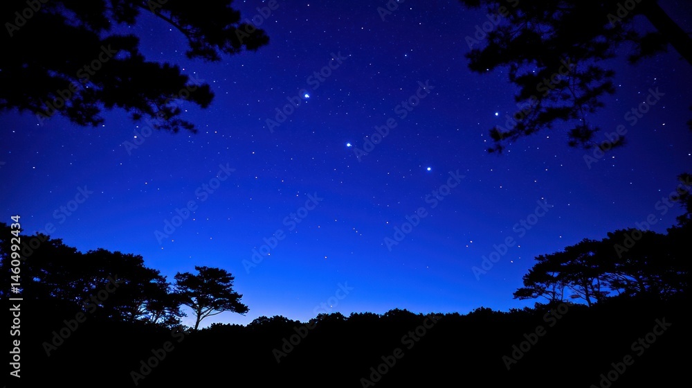 Naklejka premium Starry night sky over trees