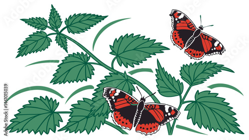 Simple nature graphic illustration featuring two vibrant Red Admiral butterflies on green stinging nettle leaves