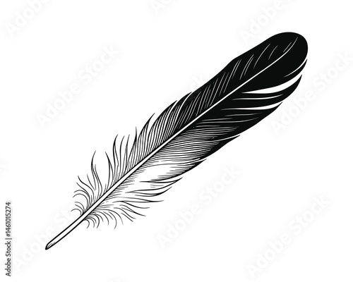A single elegant feather in black and white detailed art work