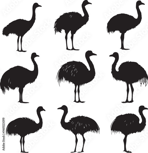 set of birds vector, bird, flamingo, animal, vector, silhouette, illustration, nature, crane, wildlife, ostrich, pink, birds, heron, beak, white, black, cartoon, isolated, wild, feather, love, zoo, an