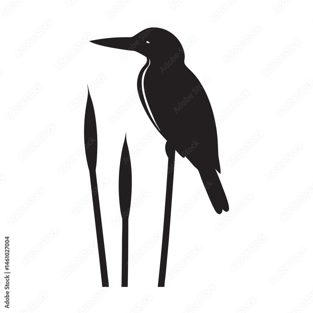 Obraz premium Malachite Kingfisher Sitting On Reed Silhouette