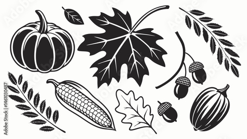 Autumn Harvest Black White Vector Illustration Set Pumpkin Maple Oak Leaves Corn Acorns Gourd