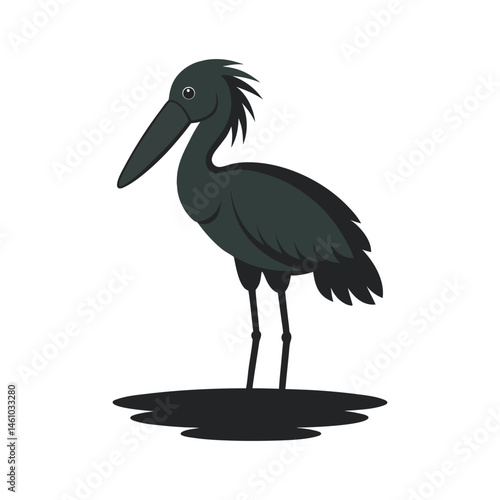 Shoebill Stork Standing Still In Water Silhouette