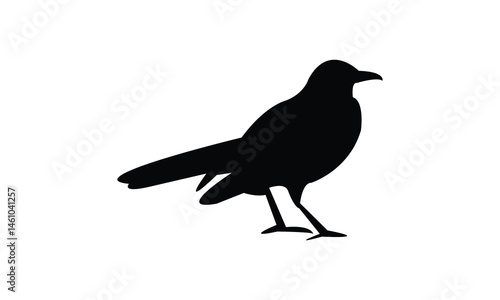 African thrush bird Silhouette Design  And Vector Illustration. 