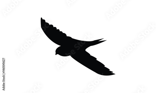 African thrush bird Silhouette Design  And Vector Illustration. 